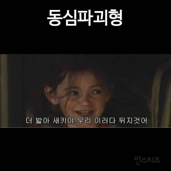 병자막의 다양한 유형 | 인스티즈