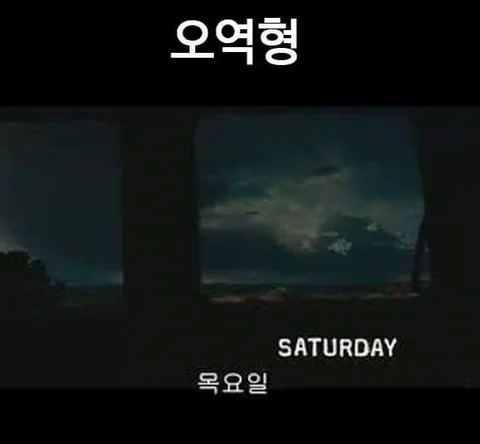 병자막의 다양한 유형 | 인스티즈