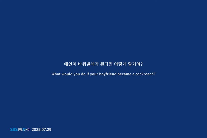 애인이 바퀴벌레가 된다면 어떻게 할거야?<<로 나온 선미 뮤비 티저 | 인스티즈