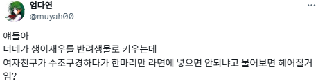 얘들아 너네가 만약 새우를 반려생물로 키우는데...twt | 인스티즈