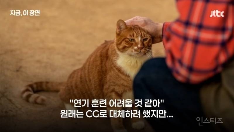 좀비딸 출연진 중 가장 NG 많이 낸 배우 | 인스티즈