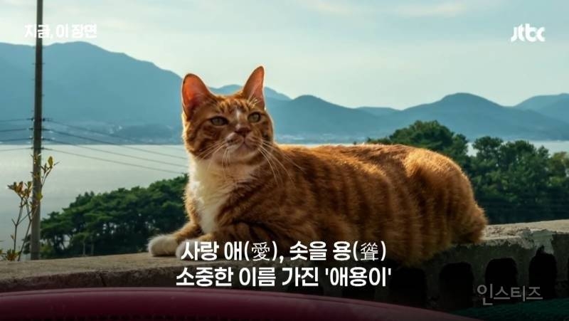 좀비딸 출연진 중 가장 NG 많이 낸 배우 | 인스티즈