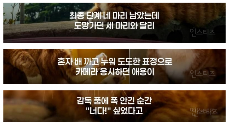 좀비딸 출연진 중 가장 NG 많이 낸 배우 | 인스티즈