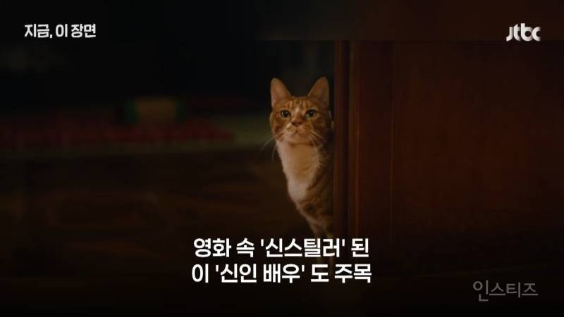 좀비딸 출연진 중 가장 NG 많이 낸 배우 | 인스티즈
