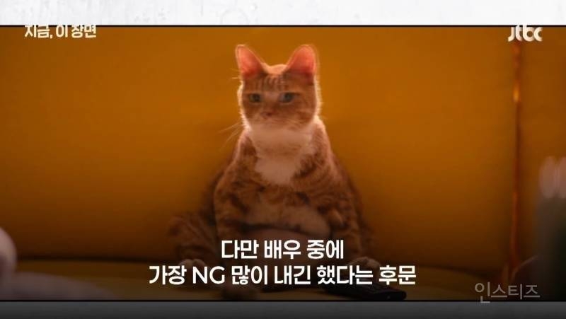좀비딸 출연진 중 가장 NG 많이 낸 배우 | 인스티즈