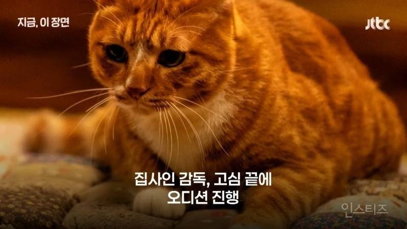 좀비딸 출연진 중 가장 NG 많이 낸 배우 | 인스티즈
