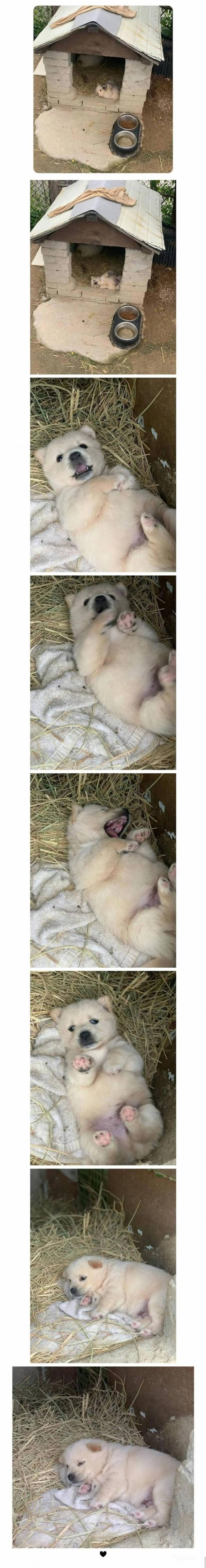 시고르자브종만 느낄 수 있는 아늑함 | 인스티즈