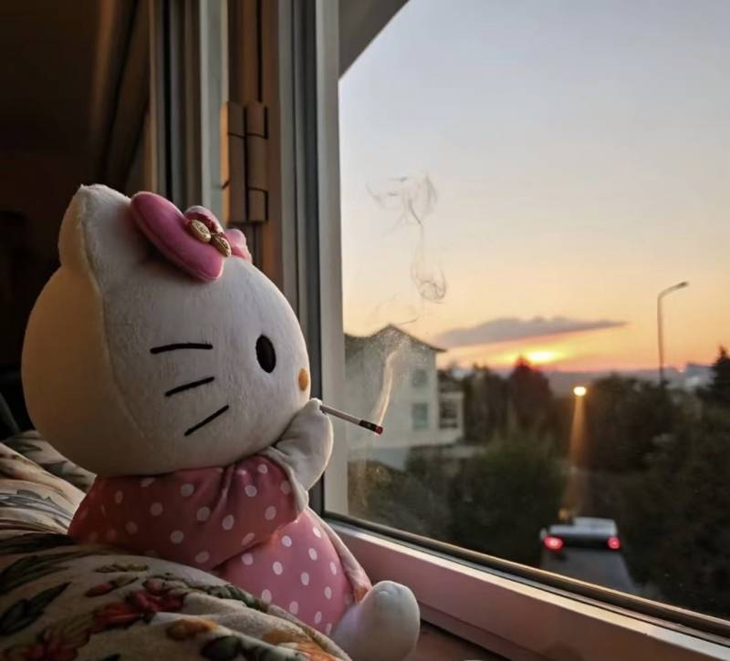 [잡담] 담배 안피는 사람 폰배경이 이거면 웃겨? | 인스티즈
