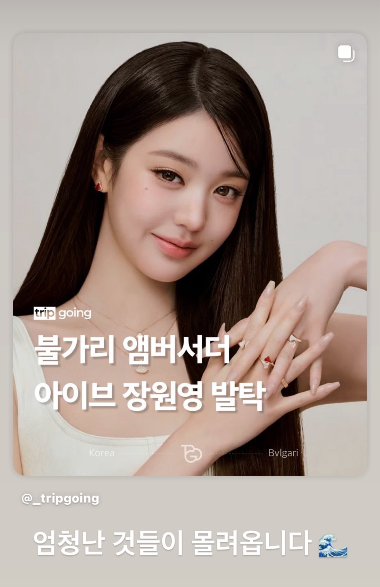 [잡담] 원영이 앰버서더 되고 불가리 관계자들 인스스 올린거 | 인스티즈