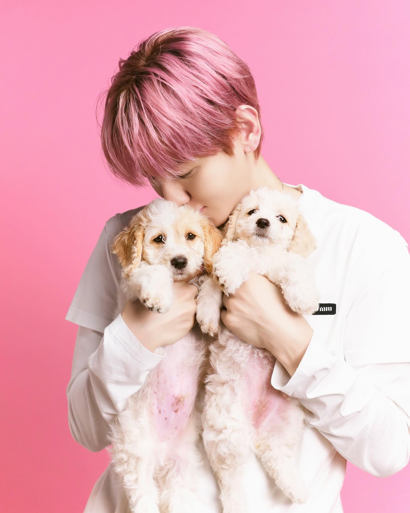 [정보/소식] buzzfeedceleb 인스타 백현이 사진 및 릴스🐶💗 | 인스티즈