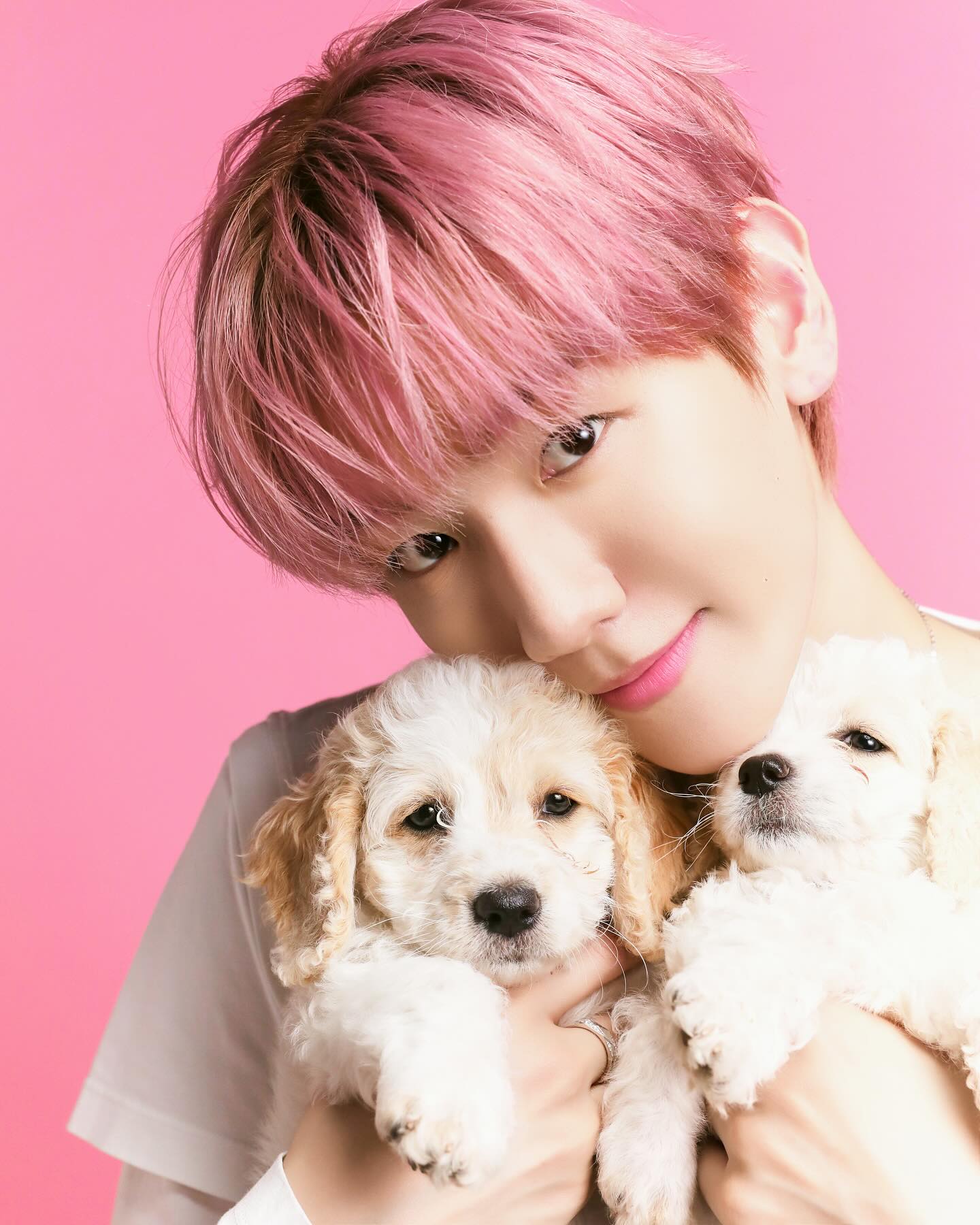 [정보/소식] buzzfeedceleb 인스타 백현이 사진 및 릴스🐶💗 | 인스티즈