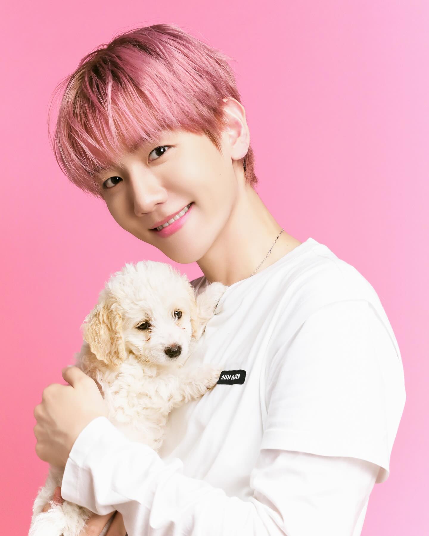 [정보/소식] buzzfeedceleb 인스타 백현이 사진 및 릴스🐶💗 | 인스티즈