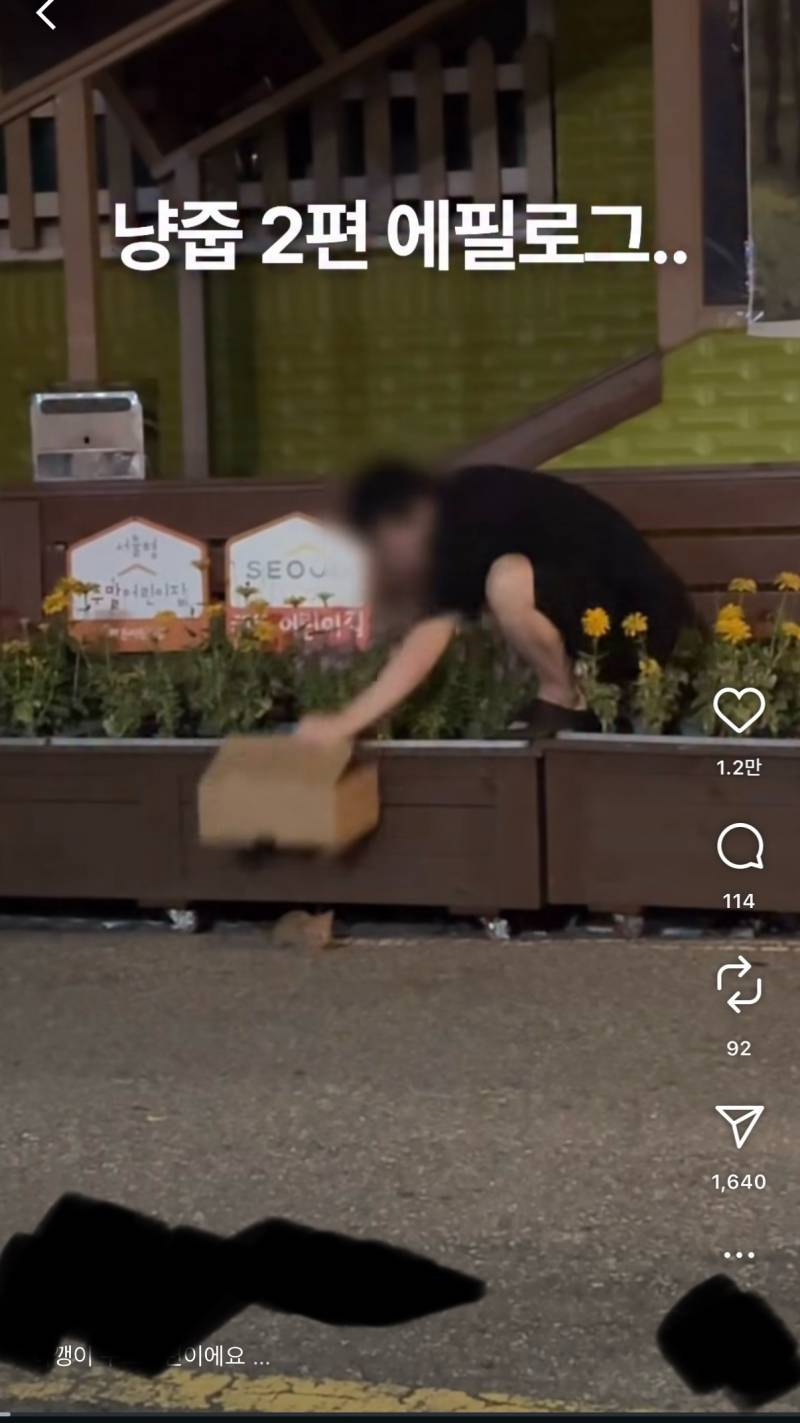 [잡담] 이건 냥줍이야 vs 납치야? | 인스티즈