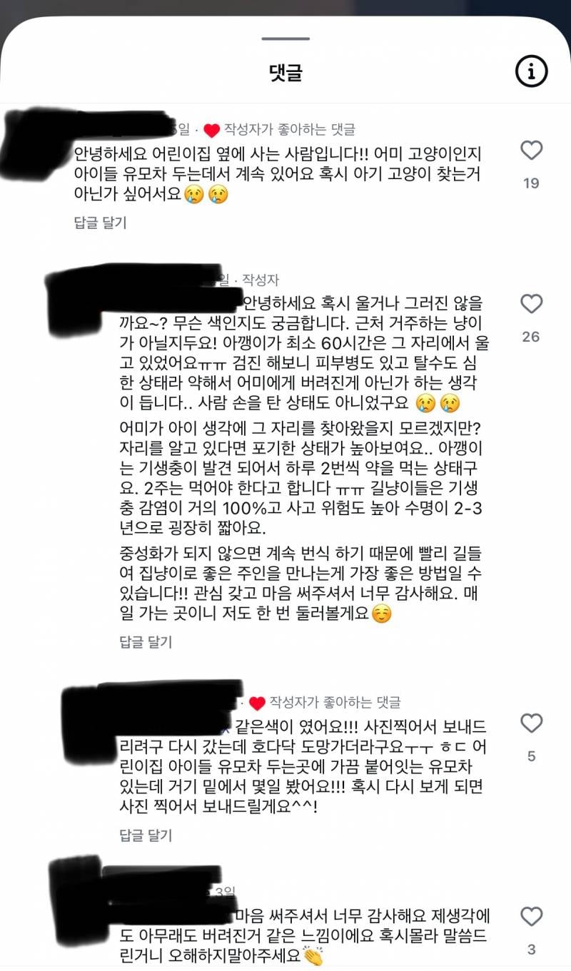 [잡담] 이건 냥줍이야 vs 납치야? | 인스티즈