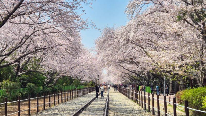 [잡담] 창원에 여행오면 코스 짜줄게(초록글 보고 화나서 씀) | 인스티즈