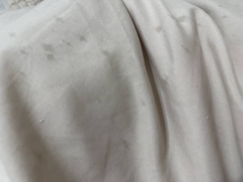 [잡담] 고양이도 기분 좋으면 침흘린다? | 인스티즈