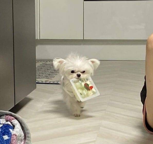 언니ㅠㅠ 이거 빨리 뜯어죠 | 인스티즈