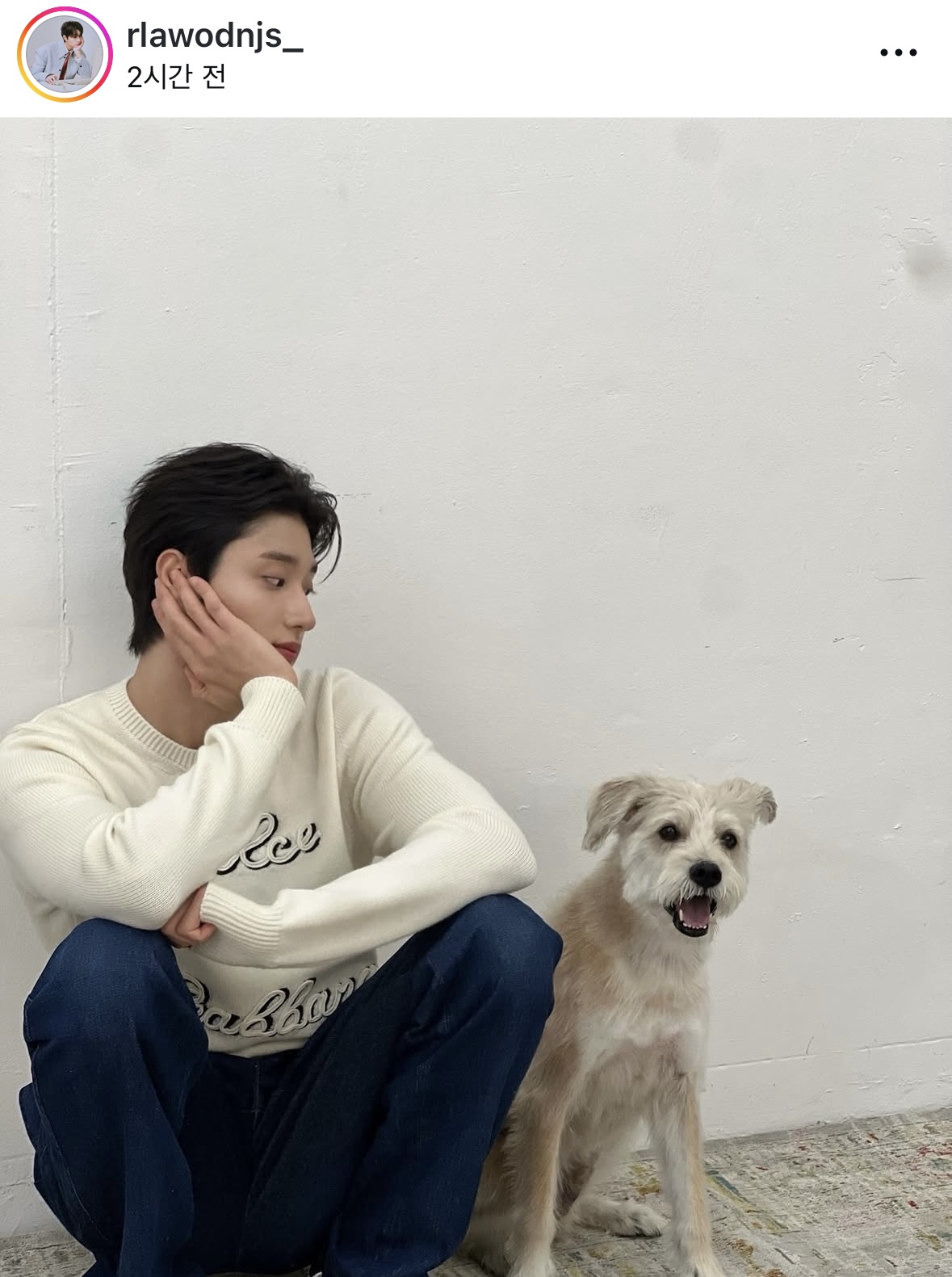 [잡담] 윰세3 배우들 댓글 단거 설렌다... | 인스티즈
