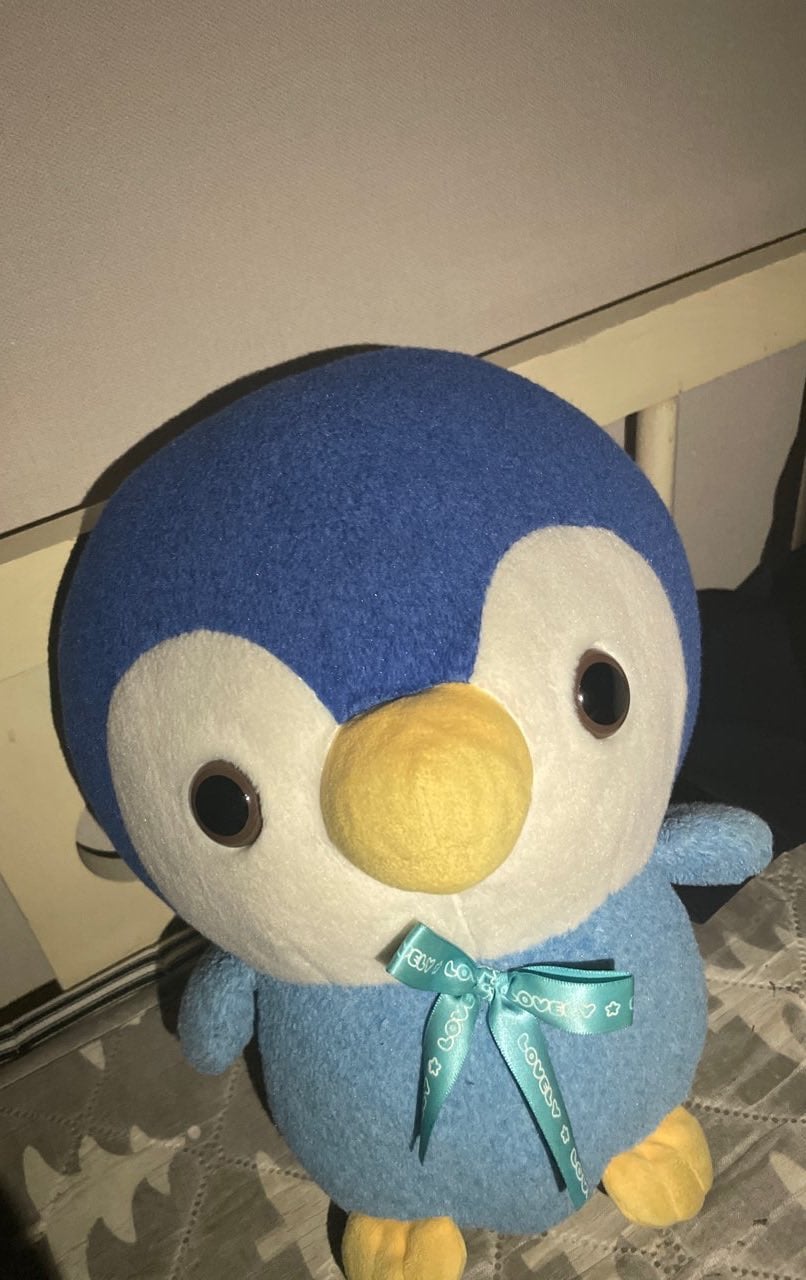 [잡담] 유강민 애착인형 송도 알아??? | 인스티즈