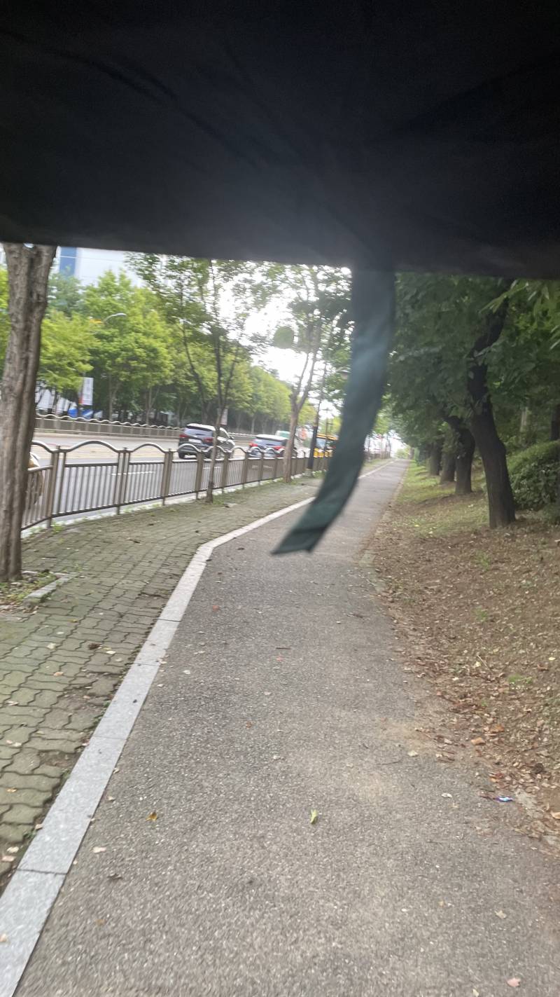 [잡담] 미친 알리에서 천원짜리 미니우산 산 다음날 비옴 | 인스티즈