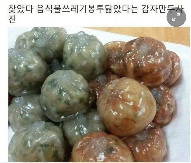 음쓰봉투 닮았다는 만두.jpg | 인스티즈