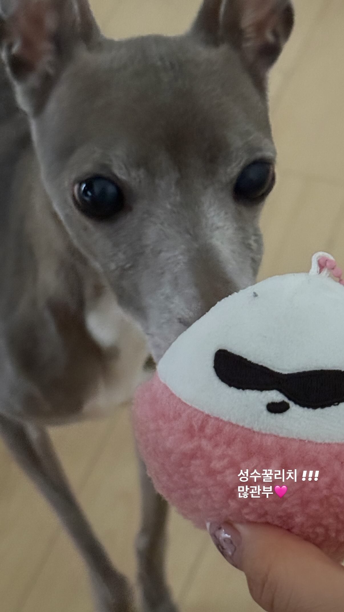 [잡담] 오늘 지젤 인스스 업뎃 | 인스티즈