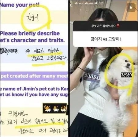 [마플] 지민 송다은 이런거 은근 많네ㅋㅋㅋ | 인스티즈