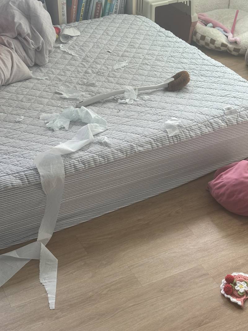 [잡담] 울집 강쥐가 변기닦는 솔을 내 침대 위에,, | 인스티즈