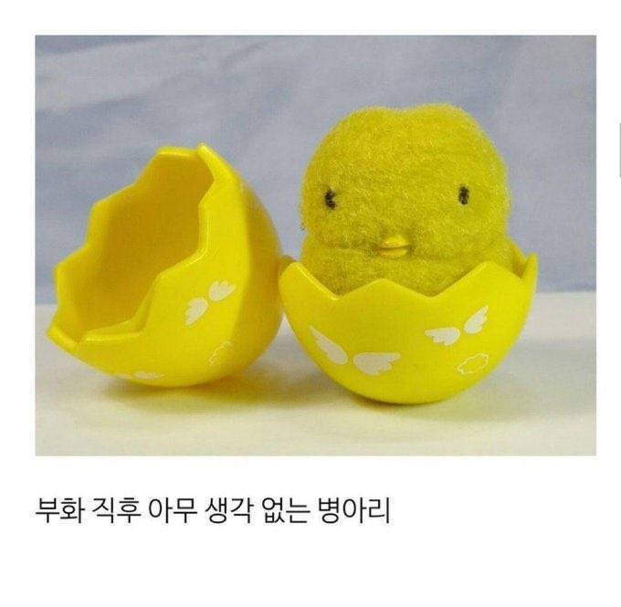 [잡담] 우주학생 항상 이 표정으로 삼진 잡더라 | 인스티즈