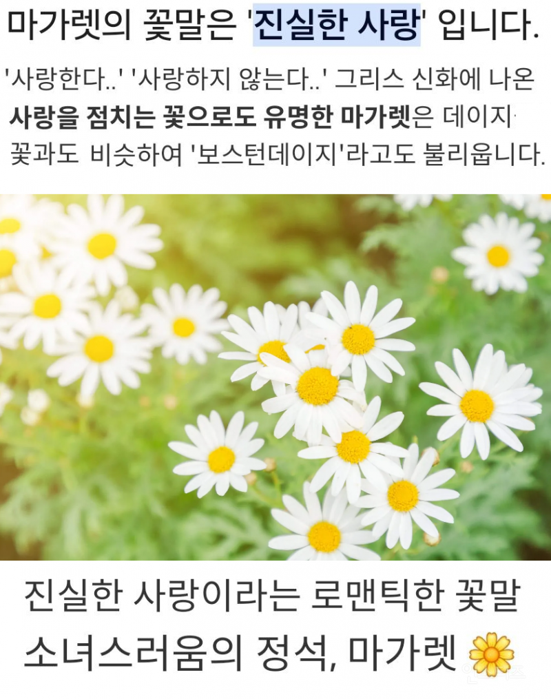 23살에 최초로 조공 거절한 아이돌.jpg | 인스티즈
