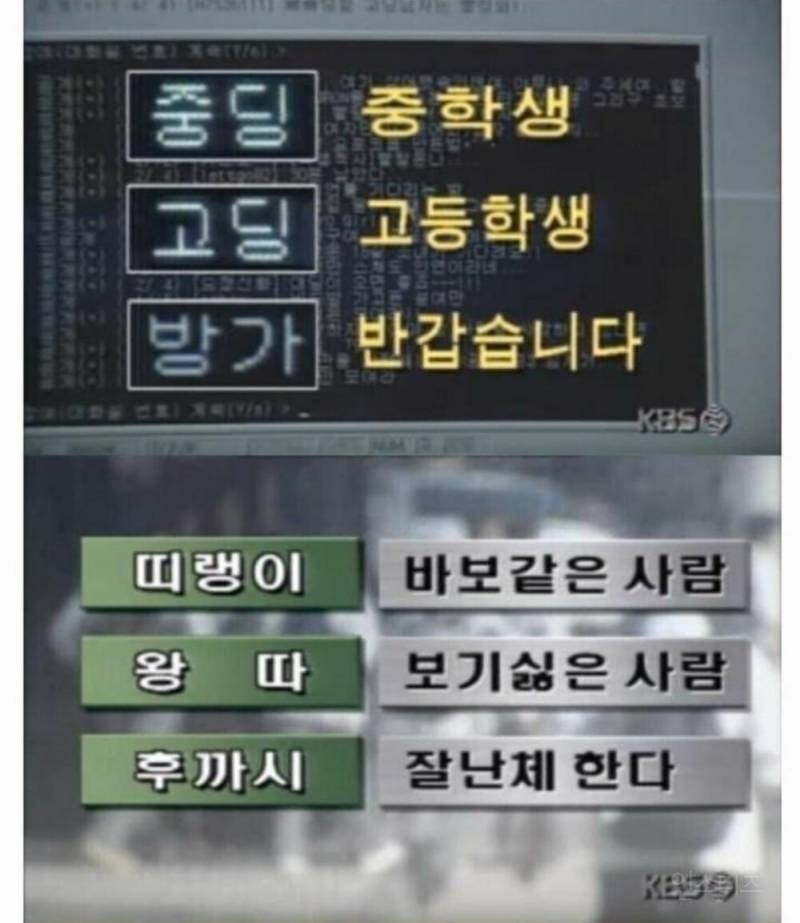 90년대 뉴스에 나온 심각한 신조어들.jpg | 인스티즈