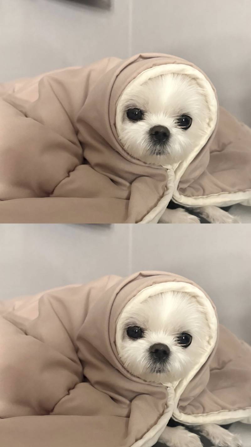 [잡담] 나 정도면 연예인 데뷔 가능할거 같아? | 인스티즈