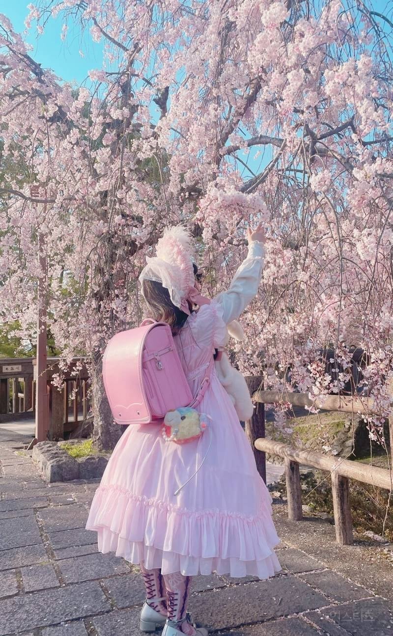 진짜 작은 일본의 키 133cm 인플루언서.jpg | 인스티즈