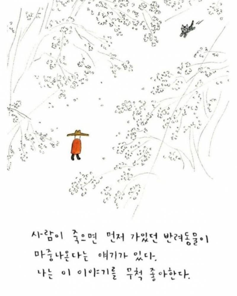 사람이 죽으면 반려동물이 마중나온다 의 뒷 이야기 | 인스티즈
