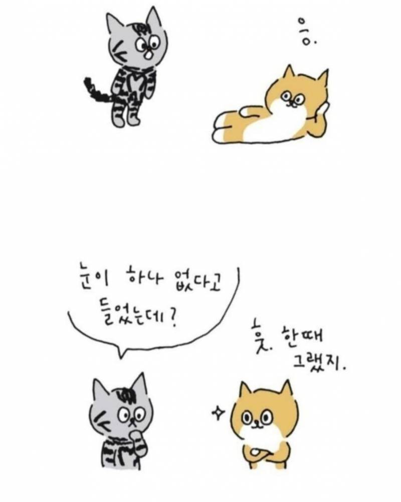 사람이 죽으면 반려동물이 마중나온다 의 뒷 이야기 | 인스티즈