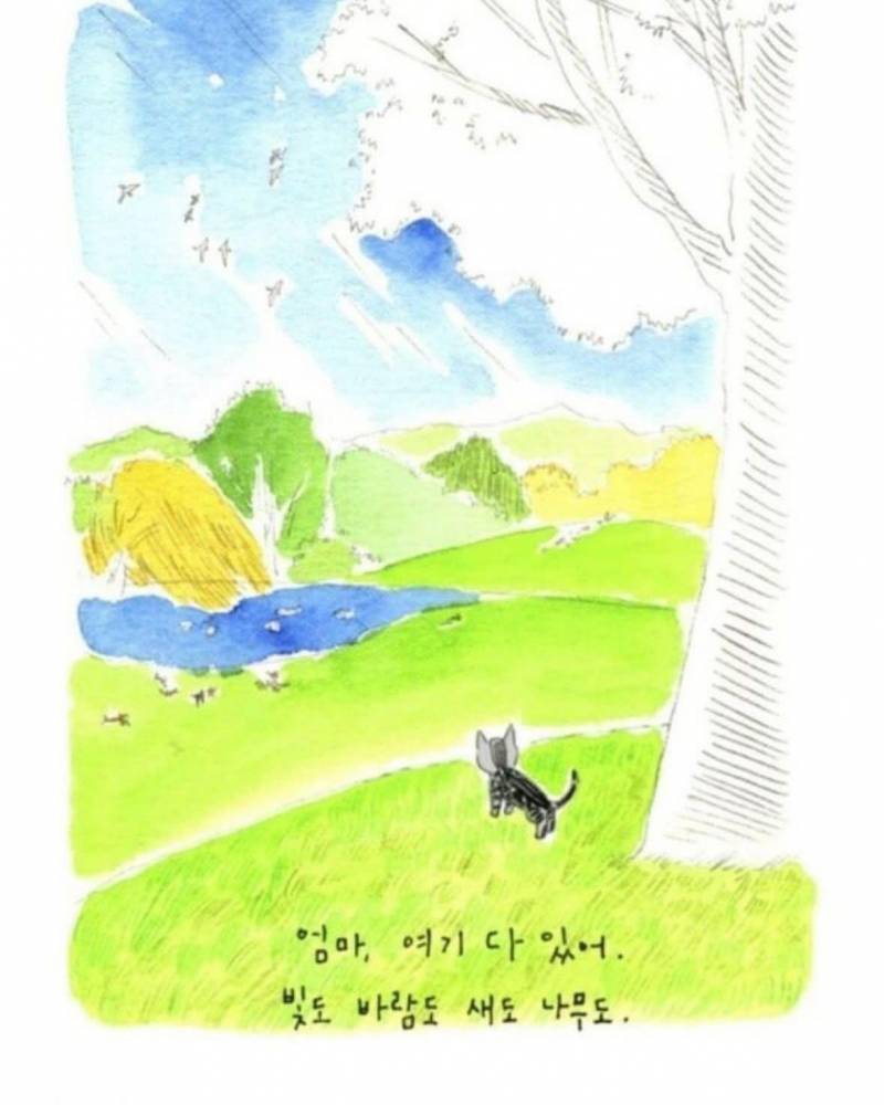 사람이 죽으면 반려동물이 마중나온다 의 뒷 이야기 | 인스티즈