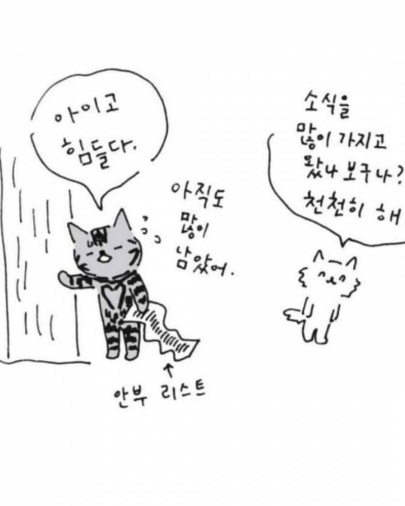 사람이 죽으면 반려동물이 마중나온다 의 뒷 이야기 | 인스티즈