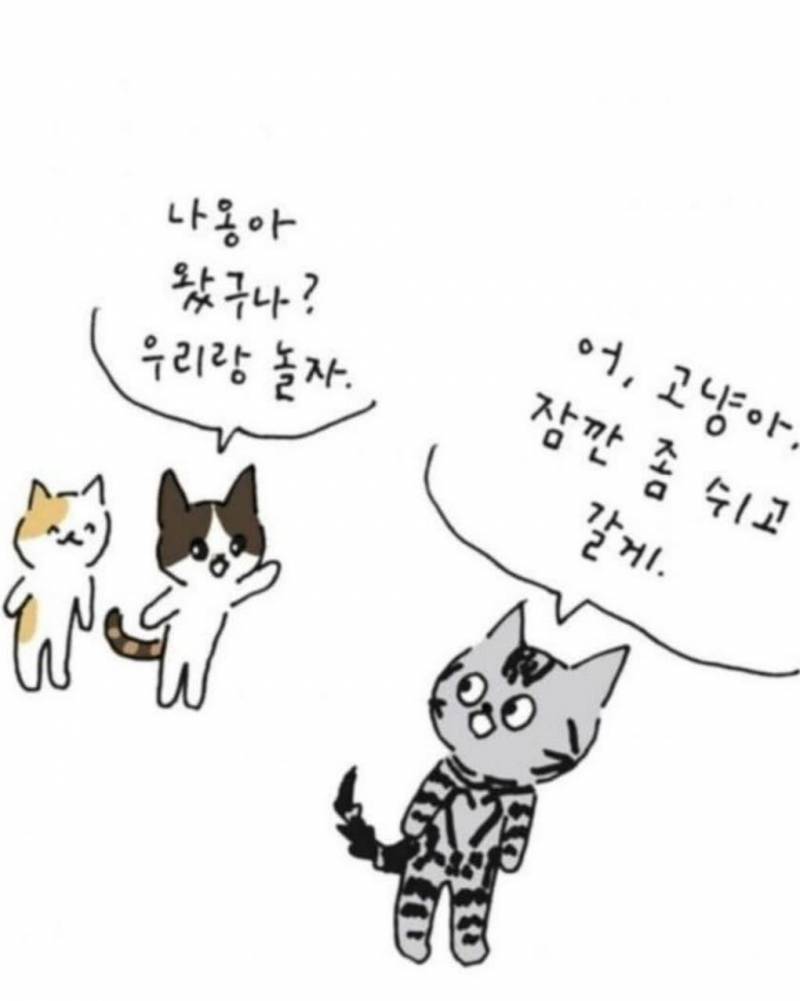 사람이 죽으면 반려동물이 마중나온다 의 뒷 이야기 | 인스티즈