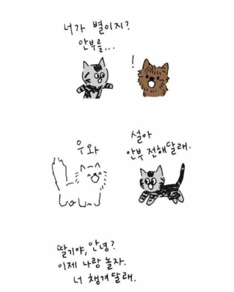 사람이 죽으면 반려동물이 마중나온다 의 뒷 이야기 | 인스티즈