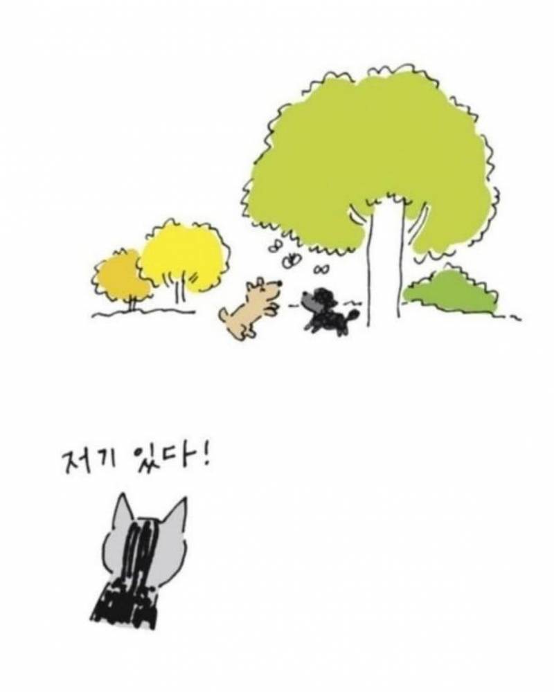사람이 죽으면 반려동물이 마중나온다 의 뒷 이야기 | 인스티즈