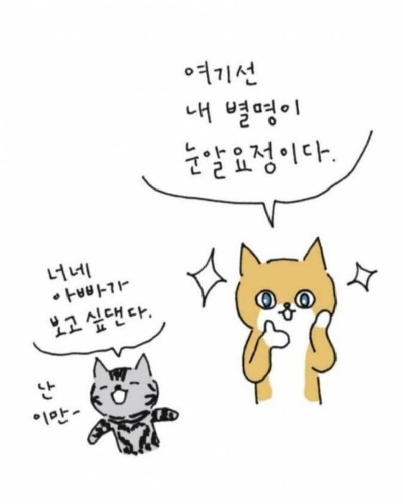 사람이 죽으면 반려동물이 마중나온다 의 뒷 이야기 | 인스티즈