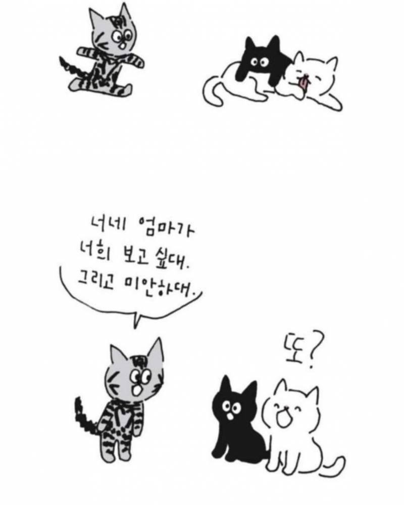 사람이 죽으면 반려동물이 마중나온다 의 뒷 이야기 | 인스티즈