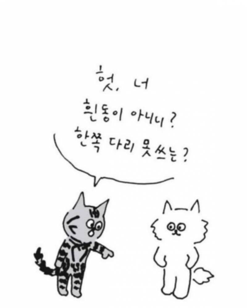 사람이 죽으면 반려동물이 마중나온다 의 뒷 이야기 | 인스티즈