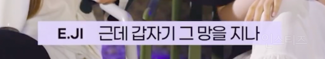 야구 관람하다 파울볼 맞았던 여돌 .jpg | 인스티즈
