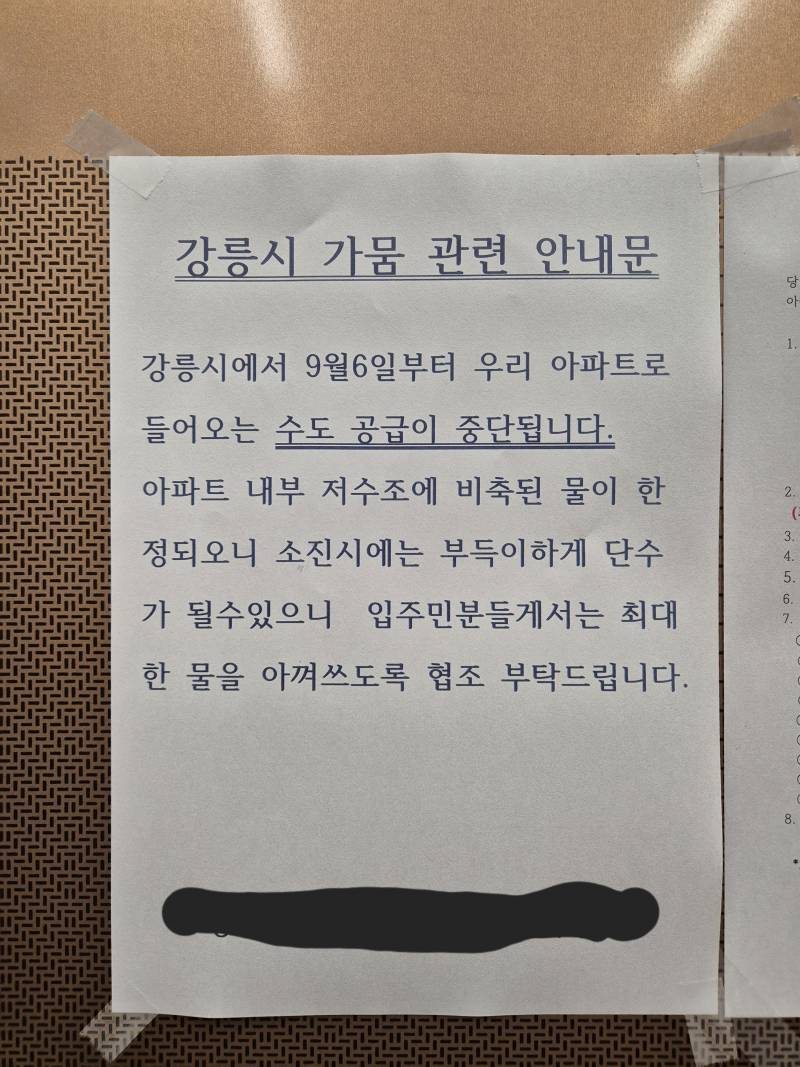 [잡담] 강릉 현재 상황... 이게 맞냐 | 인스티즈