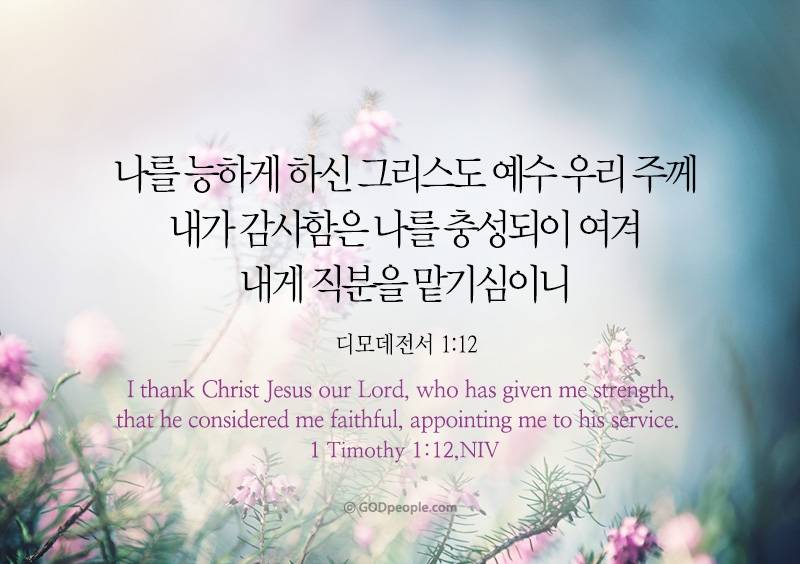 [잡담] 즐겁고 행복하고 기쁜 주말이 되기를 축복해💝 | 인스티즈