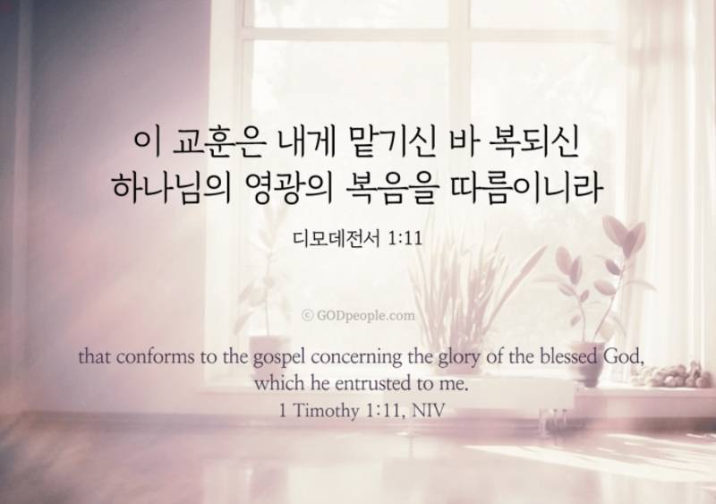 [잡담] 즐겁고 행복하고 기쁜 주말이 되기를 축복해💝 | 인스티즈