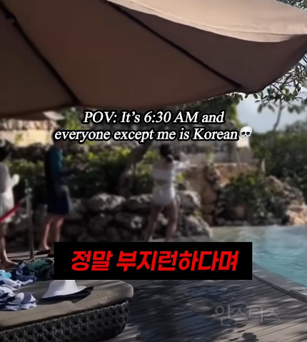 여행마저 부지런한 국민들.jpg | 인스티즈