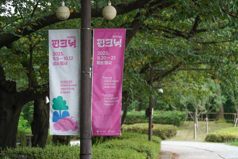 서울에 나타난 초대형 핑크색 한교동.jpg | 인스티즈