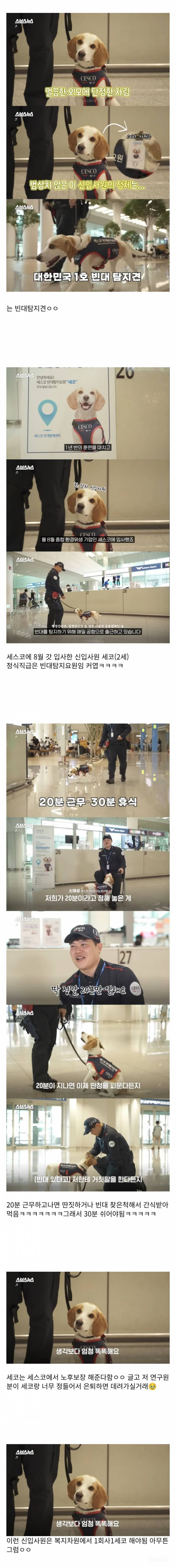 한달 일한 신입이 20분 일하고 30분 휴식하네요... | 인스티즈